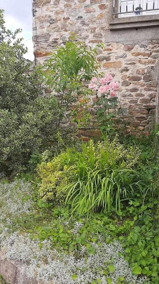 Casa Do Hiebra Alojamiento Rural Ribeira Sacra Castroncelos Exteriör bild